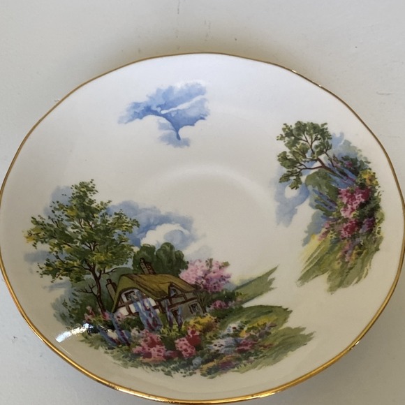 Vintage Royal Vale Teacup & Saucer Cottage Scene & Gardens - Bone China England - Picture 10 of 15